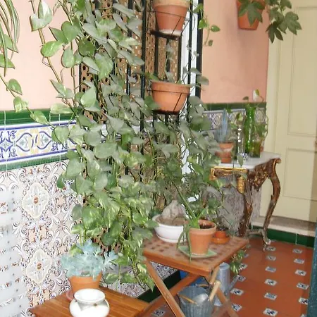 El Andaluz 3* Málaga